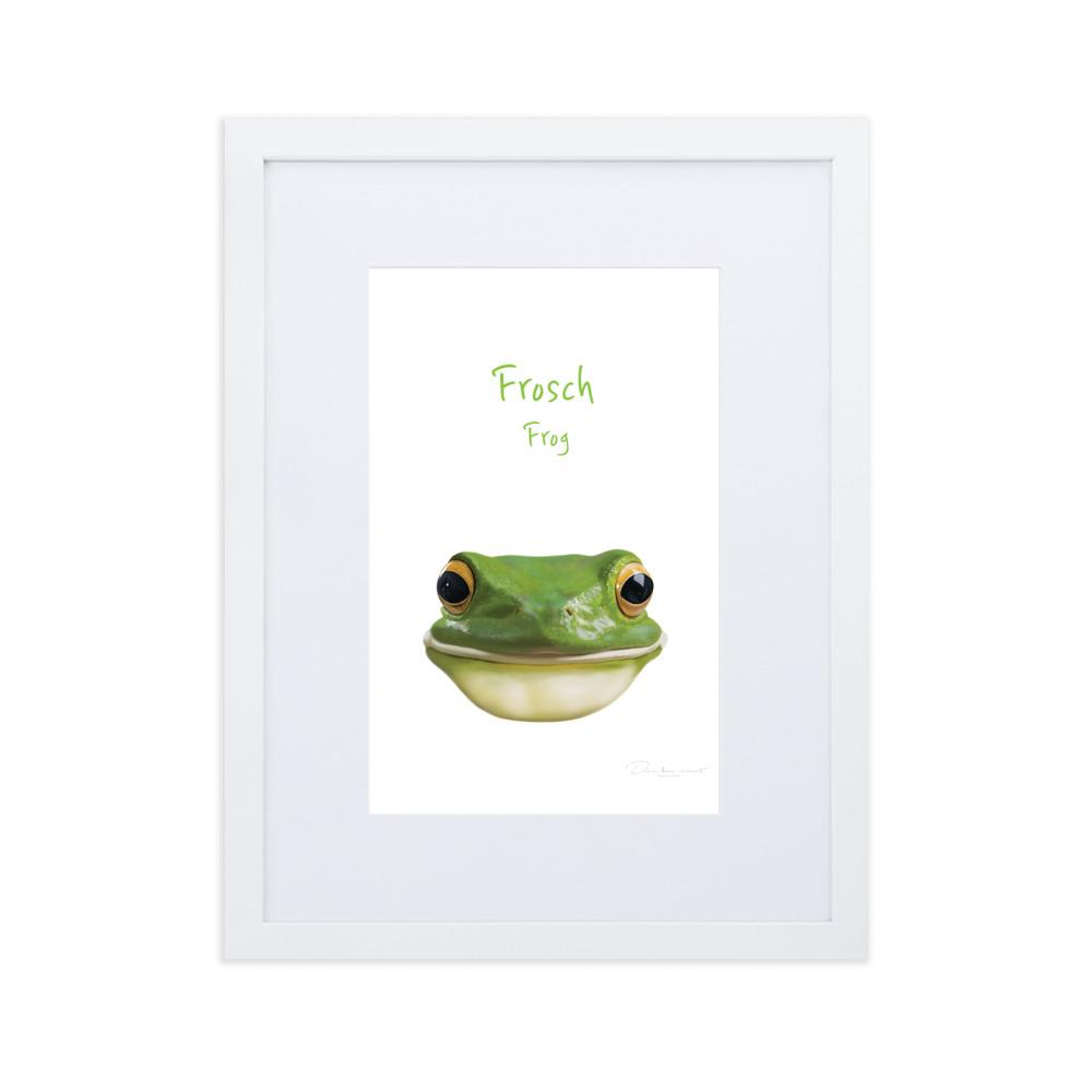 Frosch - Poster im Rahmen mit Passepartout weiß / 30×40 cm artlia