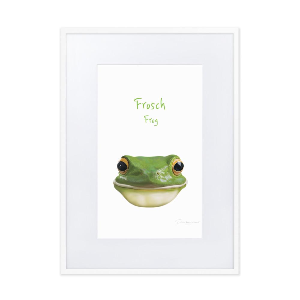 Frosch - Poster im Rahmen mit Passepartout weiß / 50×70 cm artlia