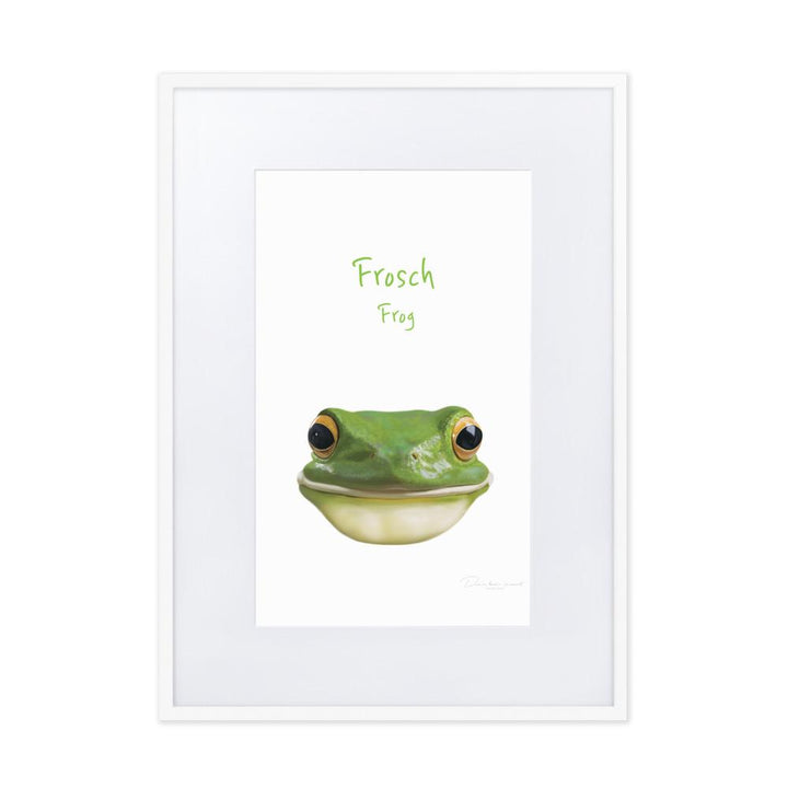 Frosch - Poster im Rahmen mit Passepartout weiß / 50×70 cm artlia