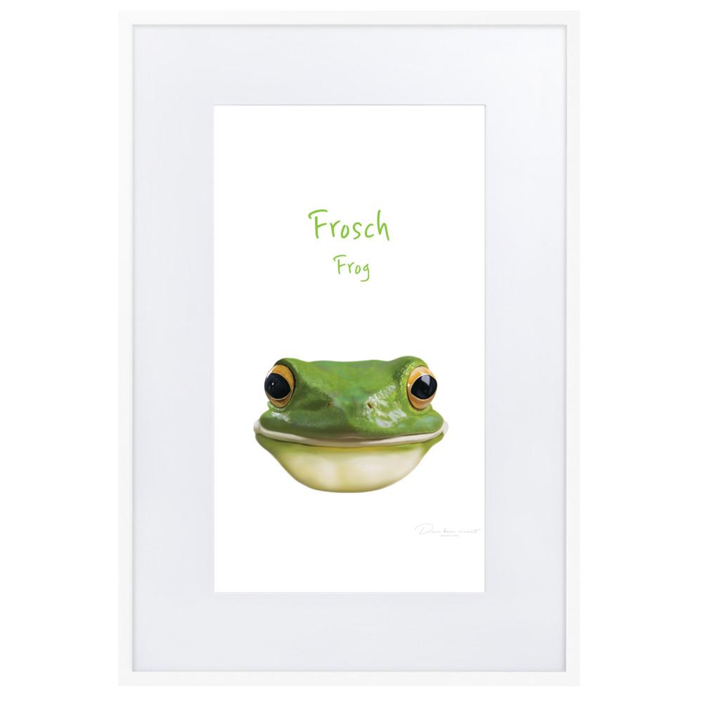 Frosch - Poster im Rahmen mit Passepartout weiß / 61×91 cm artlia