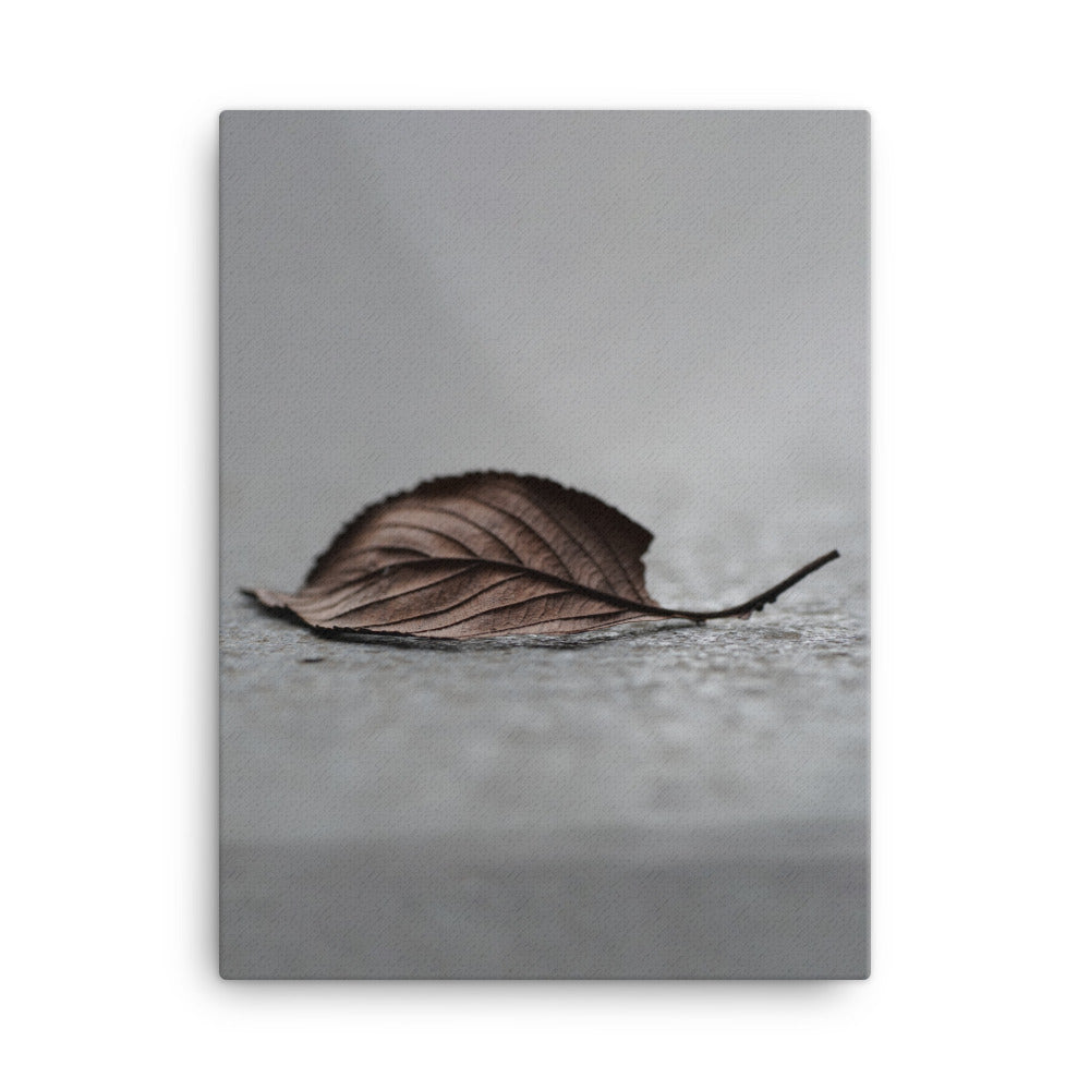 gefallenes Blatt - Leinwand 30x41 cm artlia