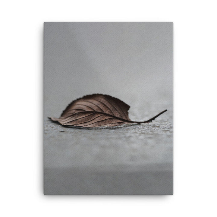 gefallenes Blatt - Leinwand 30x41 cm artlia