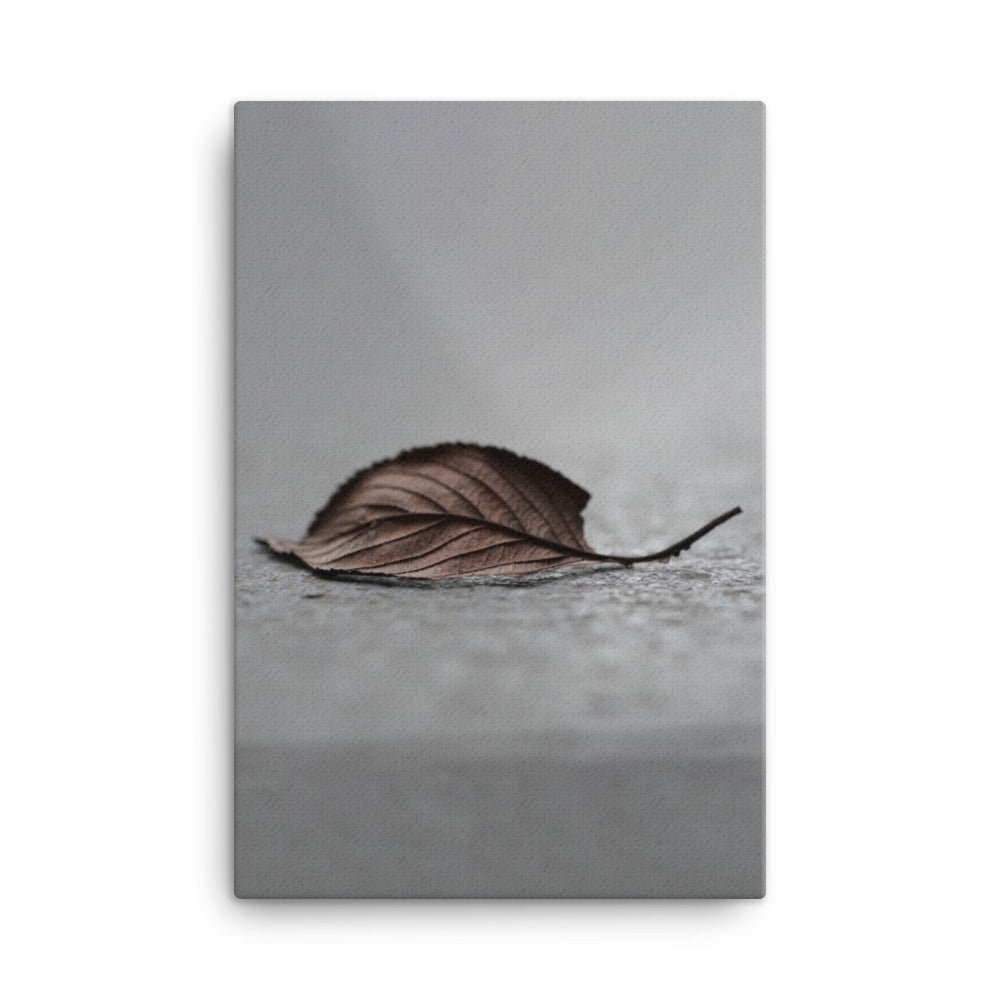 gefallenes Blatt - Leinwand 61x91 cm artlia