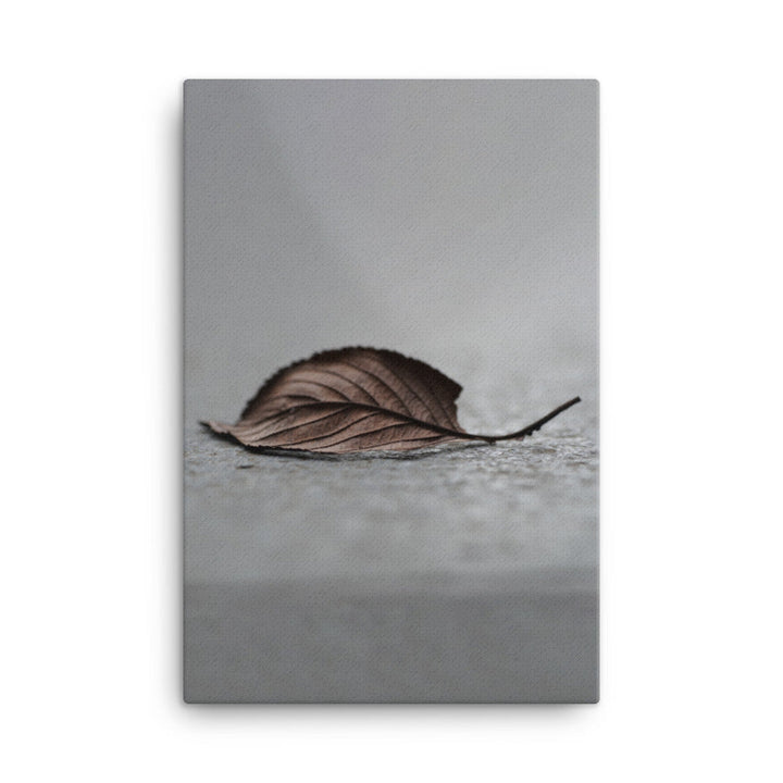 gefallenes Blatt - Leinwand 61x91 cm artlia