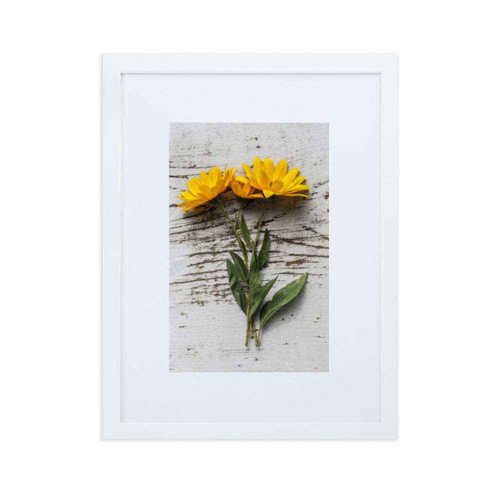 gelbe Blumen Yellow Flowers 6 - Poster im Rahmen mit Passepartout Weiß / 30×40 cm artlia