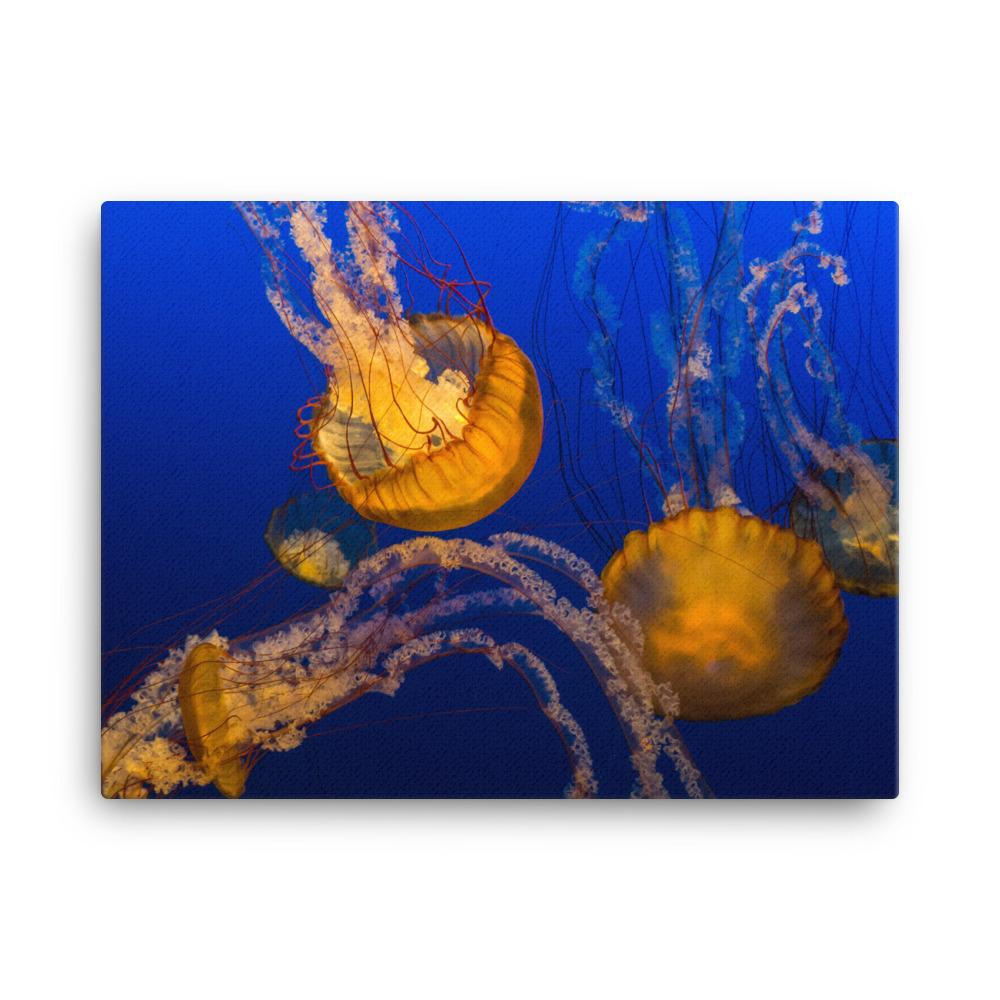 Gelbe Qualle - Leinwand 30x41 cm artlia