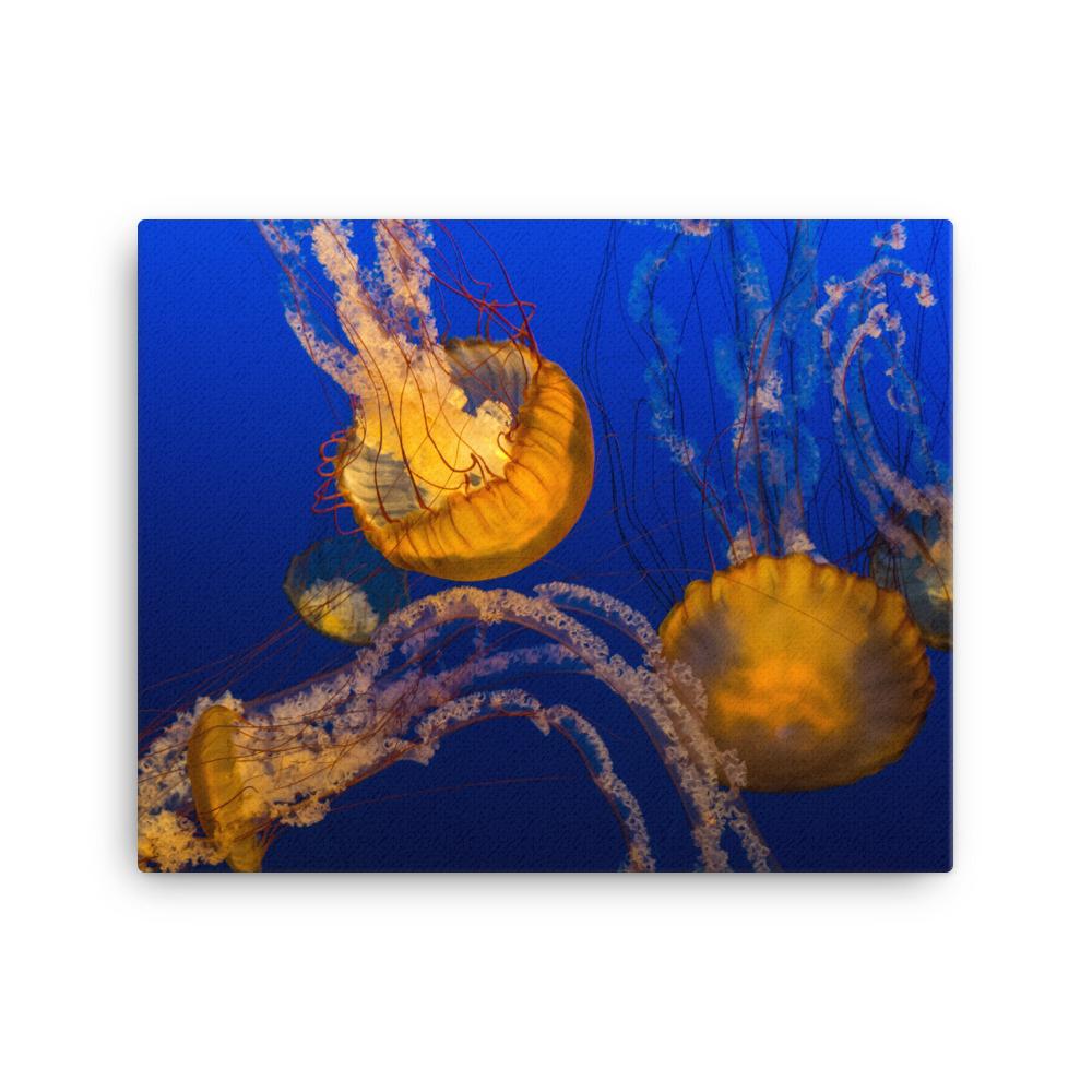 Gelbe Qualle - Leinwand 41x51 cm artlia