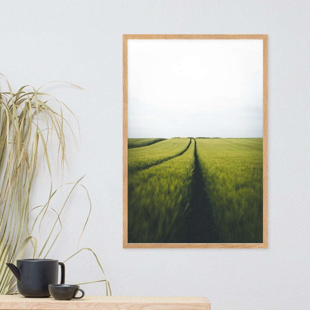 Gerstenfeld barley field - Poster im Rahmen artlia