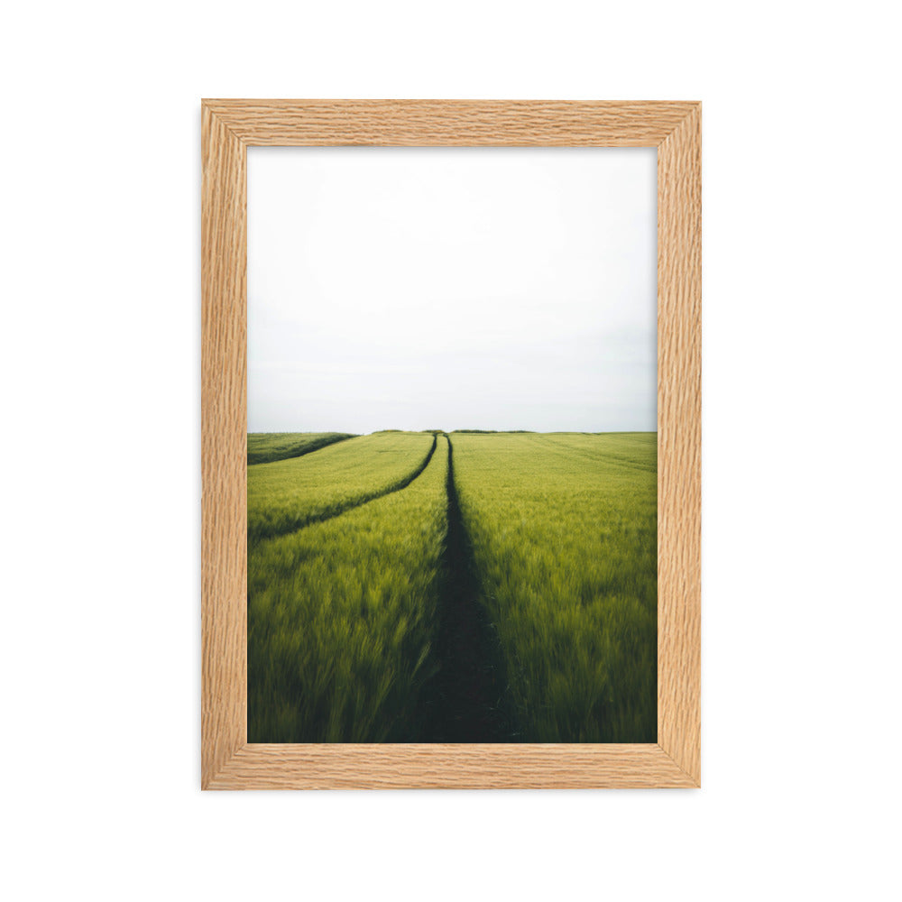 Gerstenfeld barley field - Poster im Rahmen Oak / 21×30 cm artlia