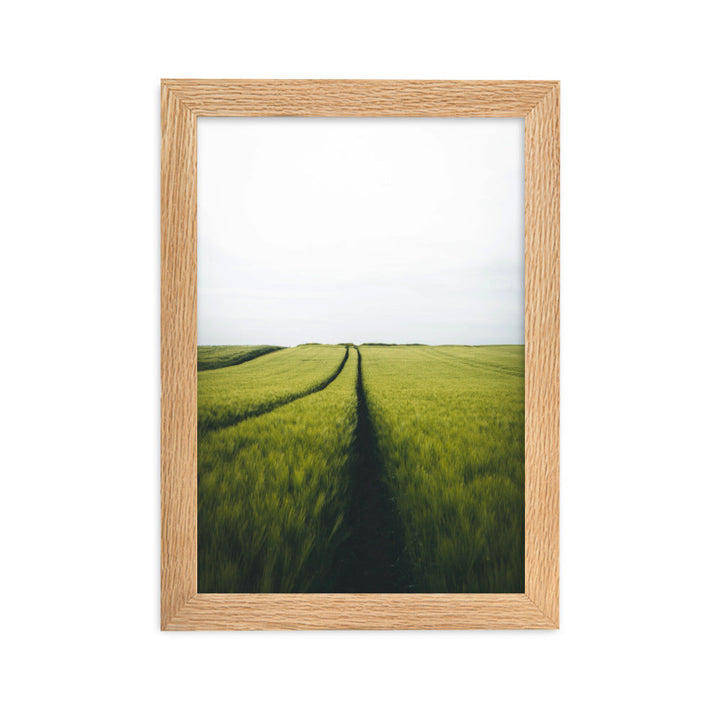 Gerstenfeld barley field - Poster im Rahmen Oak / 21×30 cm artlia