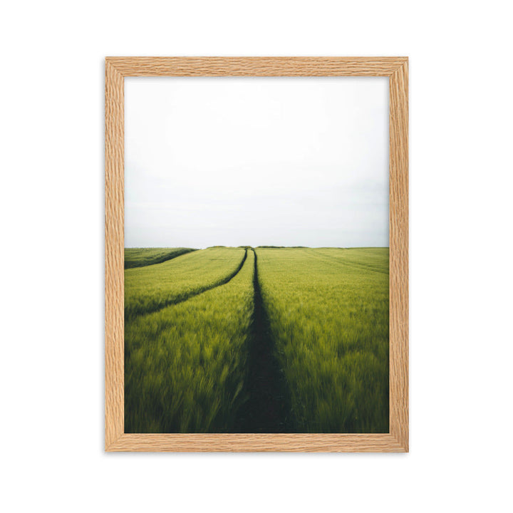 Gerstenfeld barley field - Poster im Rahmen Oak / 30×40 cm artlia