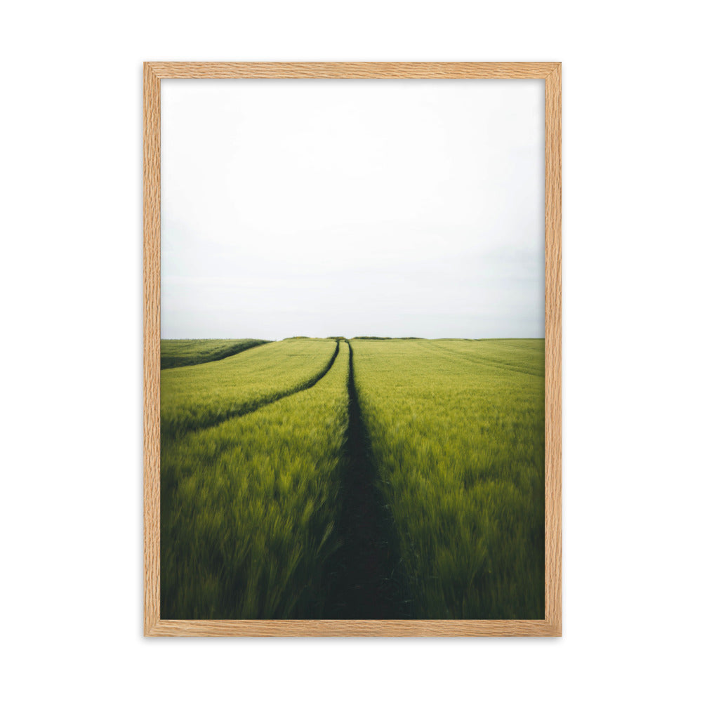Gerstenfeld barley field - Poster im Rahmen Oak / 50×70 cm artlia