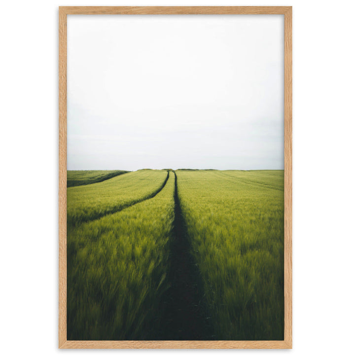 Gerstenfeld barley field - Poster im Rahmen Oak / 61×91 cm artlia