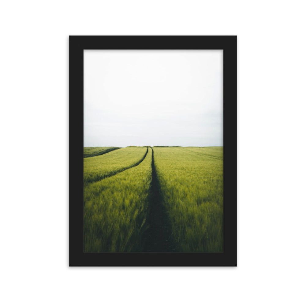 Gerstenfeld barley field - Poster im Rahmen Schwarz / 21×30 cm artlia