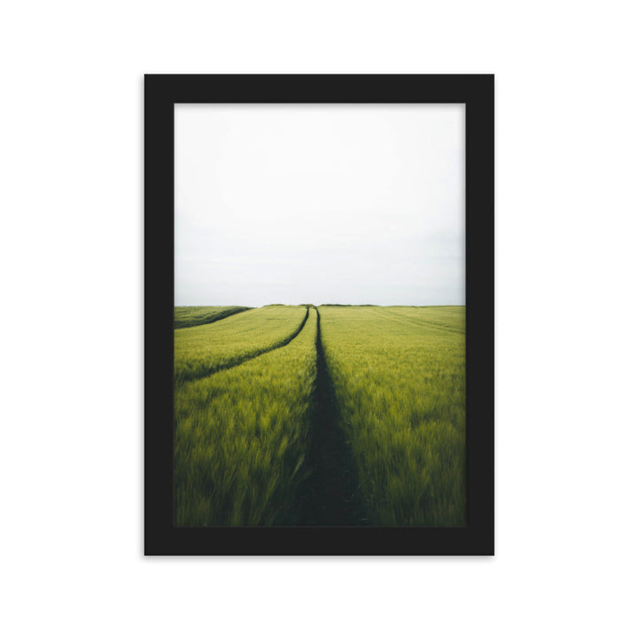 Gerstenfeld barley field - Poster im Rahmen Schwarz / 21×30 cm artlia