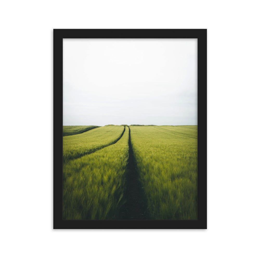 Gerstenfeld barley field - Poster im Rahmen Schwarz / 30×40 cm artlia
