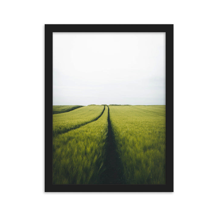 Gerstenfeld barley field - Poster im Rahmen Schwarz / 30×40 cm artlia