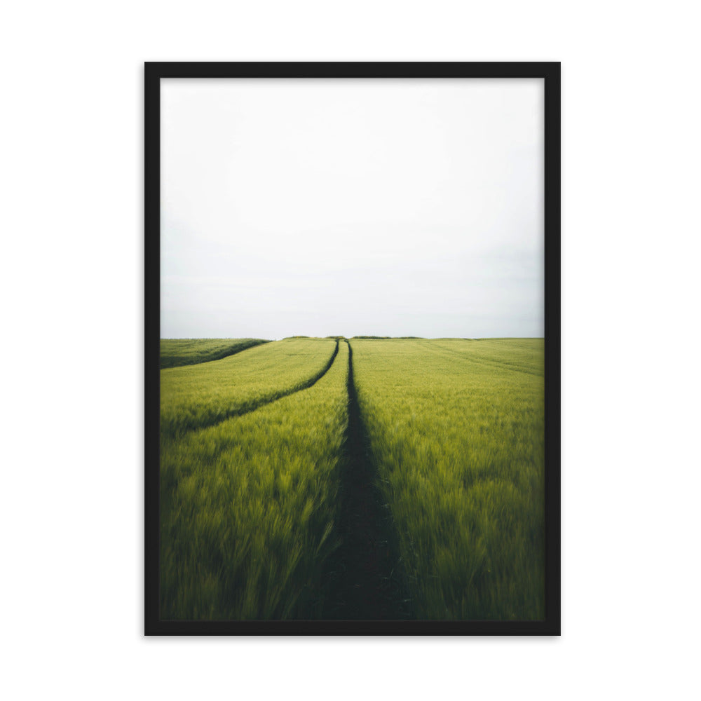 Gerstenfeld barley field - Poster im Rahmen Schwarz / 50×70 cm artlia