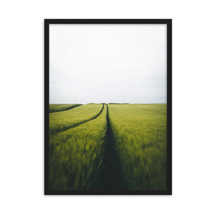 Gerstenfeld barley field - Poster im Rahmen Schwarz / 50×70 cm artlia