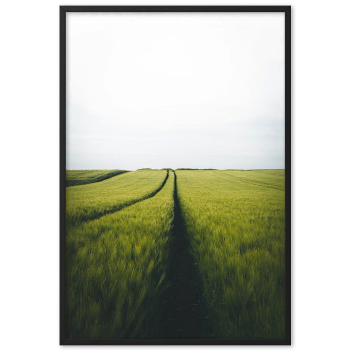 Gerstenfeld barley field - Poster im Rahmen Schwarz / 61×91 cm artlia