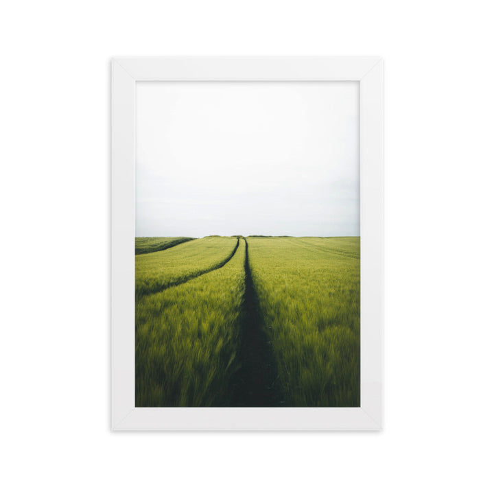 Gerstenfeld barley field - Poster im Rahmen Weiß / 21×30 cm artlia