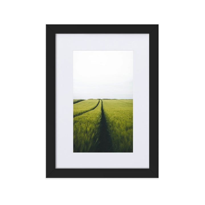 Gerstenfeld barley field - Poster im Rahmen mit Passepartout Schwarz / 21×30 cm artlia