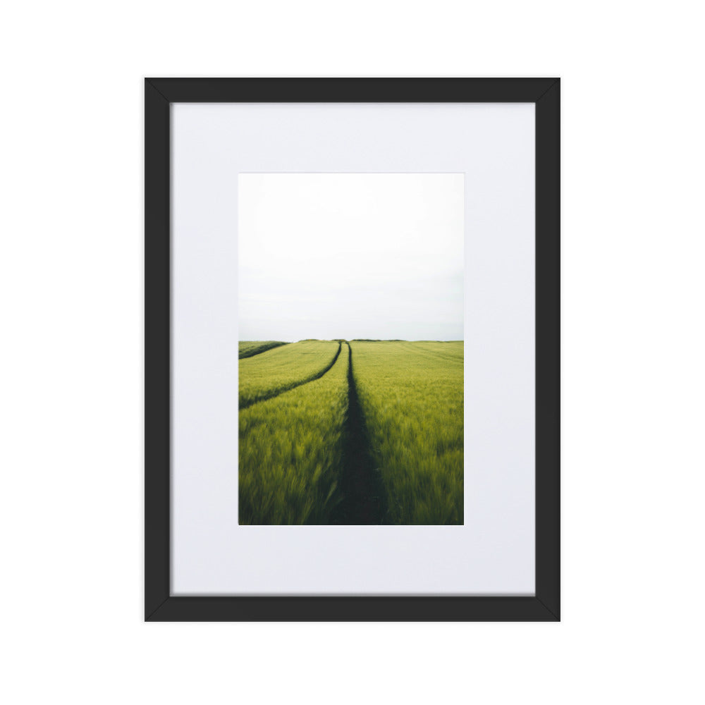 Gerstenfeld barley field - Poster im Rahmen mit Passepartout Schwarz / 30×40 cm artlia