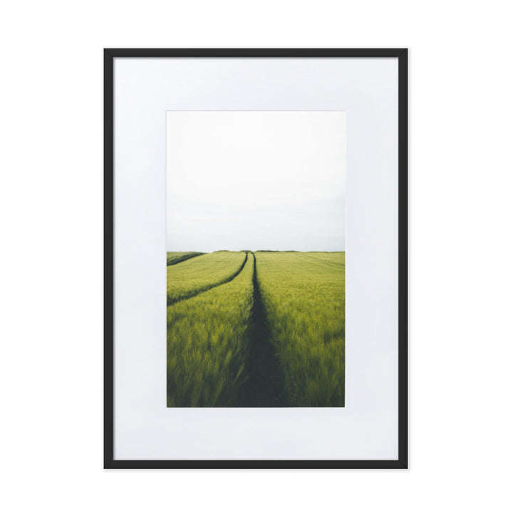 Gerstenfeld barley field - Poster im Rahmen mit Passepartout Schwarz / 50×70 cm artlia