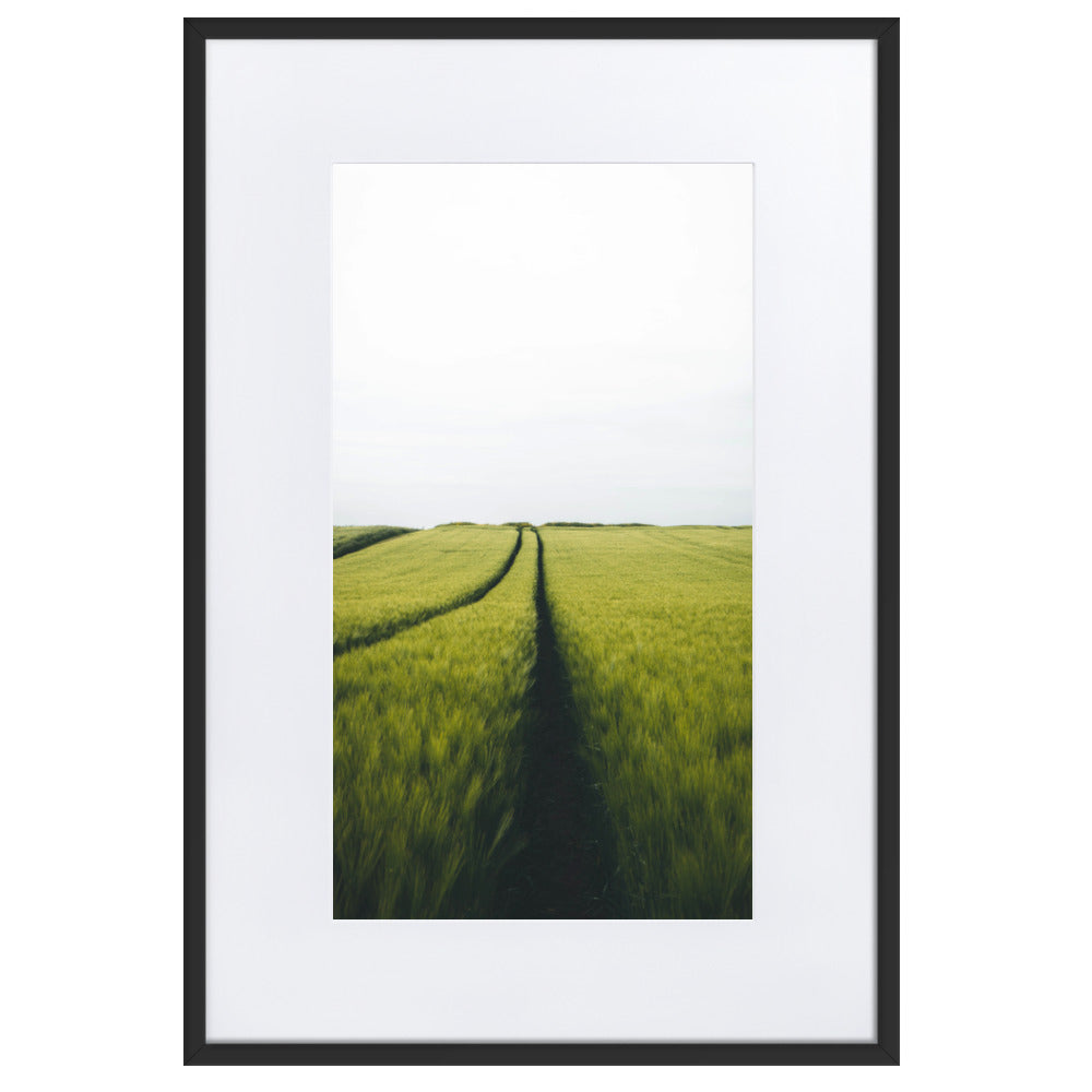 Gerstenfeld barley field - Poster im Rahmen mit Passepartout Schwarz / 61×91 cm artlia