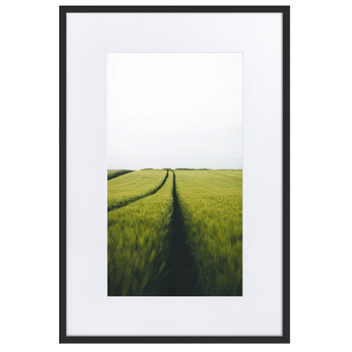 Gerstenfeld barley field - Poster im Rahmen mit Passepartout Schwarz / 61×91 cm artlia