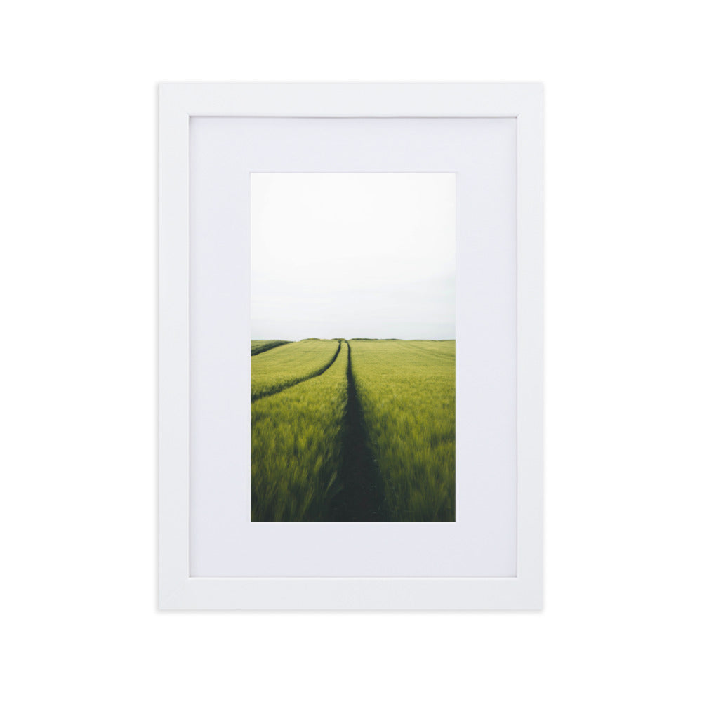 Gerstenfeld barley field - Poster im Rahmen mit Passepartout Weiß / 21×30 cm artlia