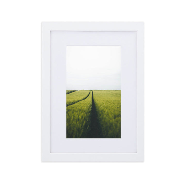 Gerstenfeld barley field - Poster im Rahmen mit Passepartout Weiß / 21×30 cm artlia