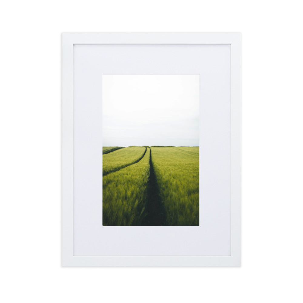 Gerstenfeld barley field - Poster im Rahmen mit Passepartout Weiß / 30×40 cm artlia