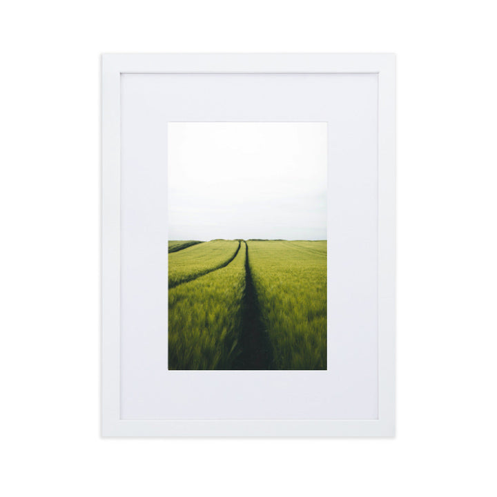 Gerstenfeld barley field - Poster im Rahmen mit Passepartout Weiß / 30×40 cm artlia