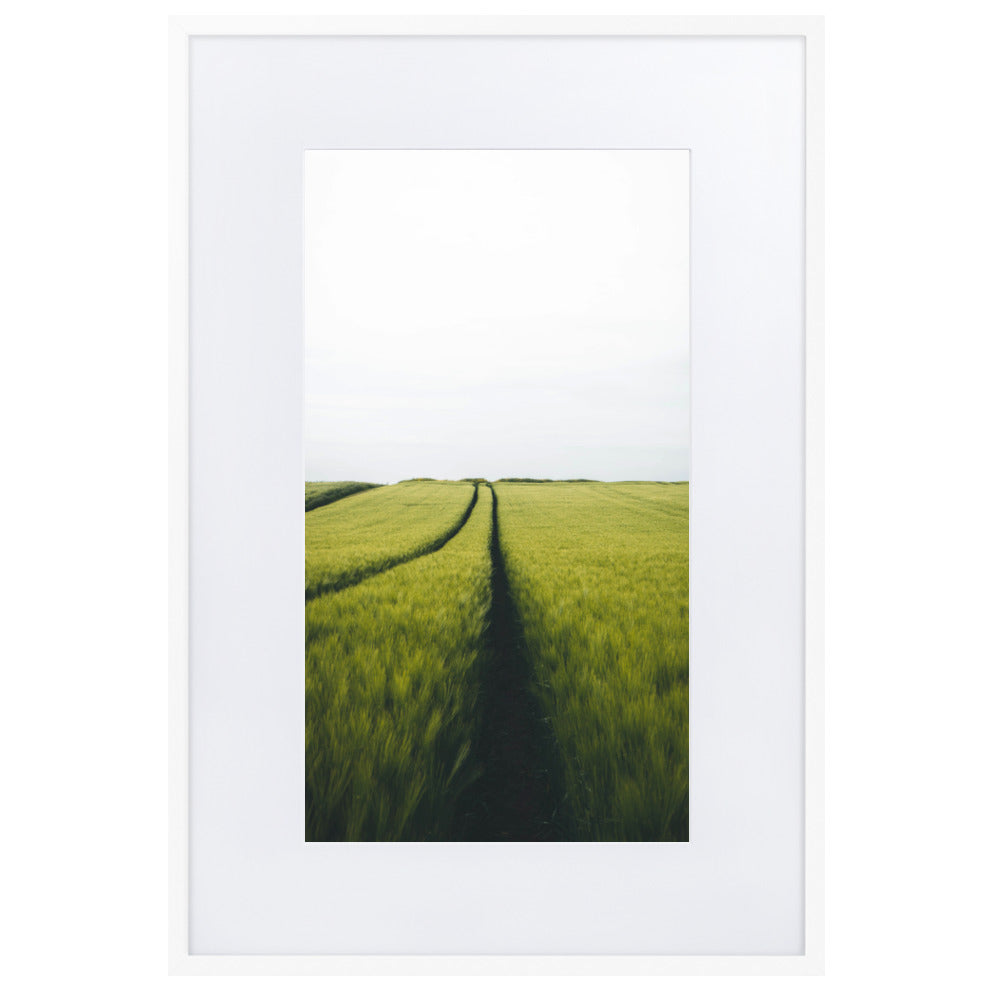 Gerstenfeld barley field - Poster im Rahmen mit Passepartout Weiß / 61×91 cm artlia