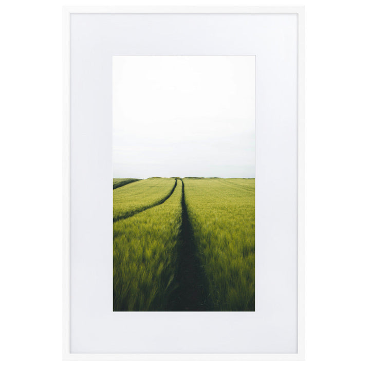Gerstenfeld barley field - Poster im Rahmen mit Passepartout Weiß / 61×91 cm artlia