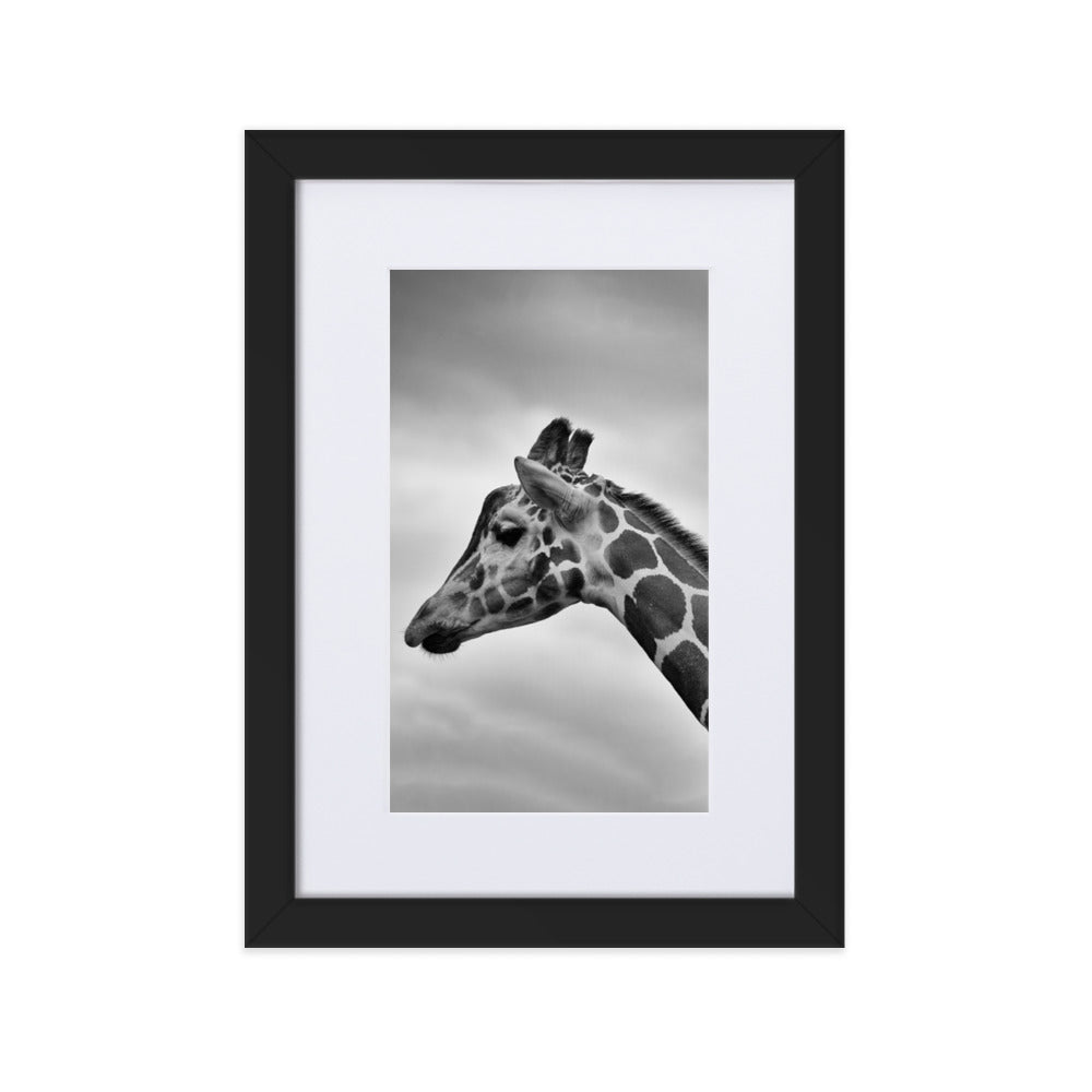 Giraffe - Poster im Rahmen mit Passepartout Schwarz / 21×30 cm artlia