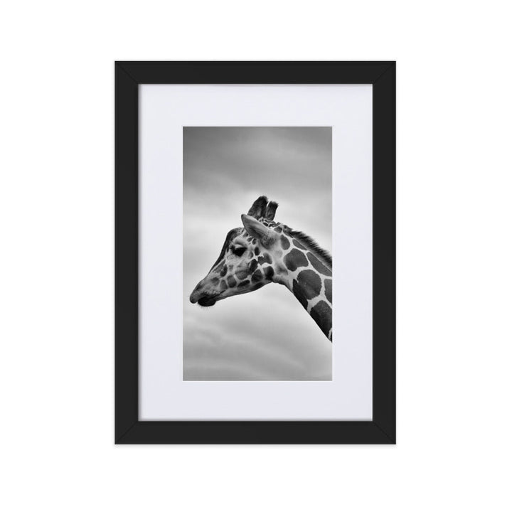 Giraffe - Poster im Rahmen mit Passepartout Schwarz / 21×30 cm artlia