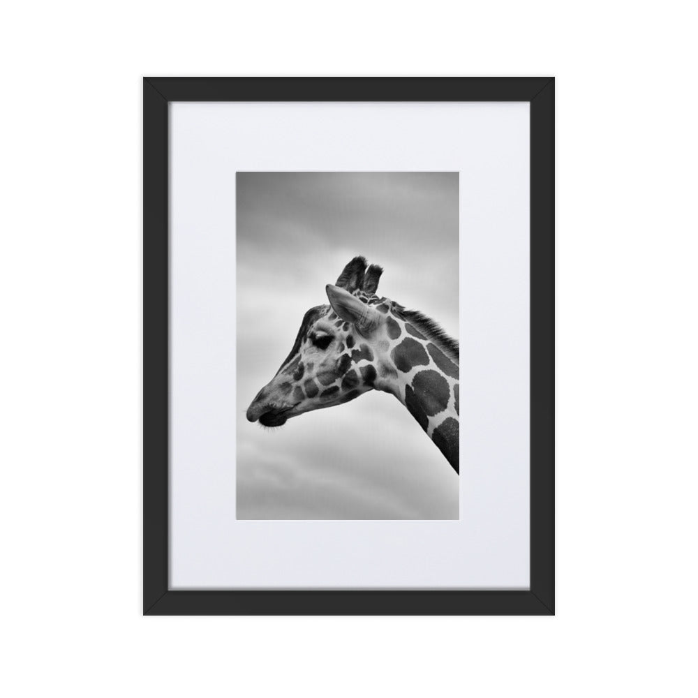 Giraffe - Poster im Rahmen mit Passepartout Schwarz / 30×40 cm artlia