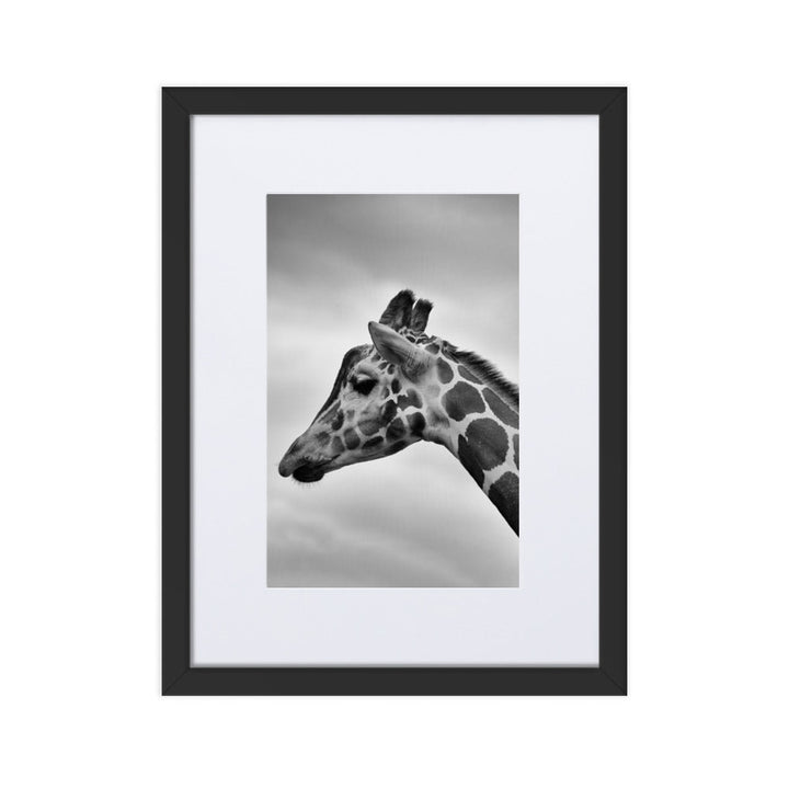Giraffe - Poster im Rahmen mit Passepartout Schwarz / 30×40 cm artlia
