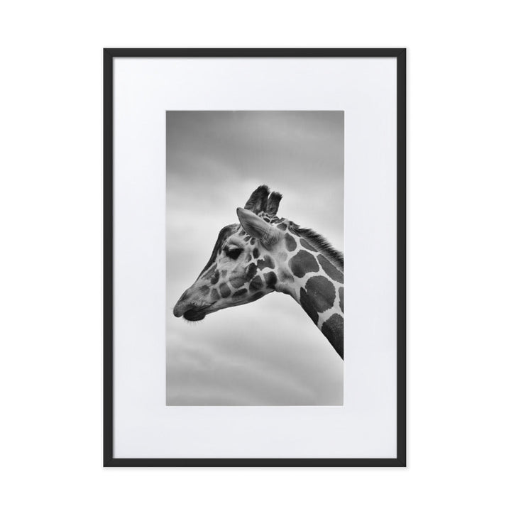 Giraffe - Poster im Rahmen mit Passepartout Schwarz / 50×70 cm artlia