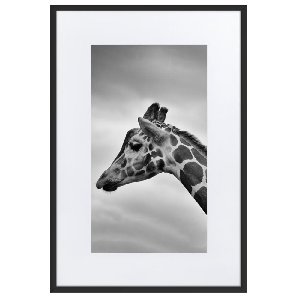Giraffe - Poster im Rahmen mit Passepartout Schwarz / 61×91 cm artlia