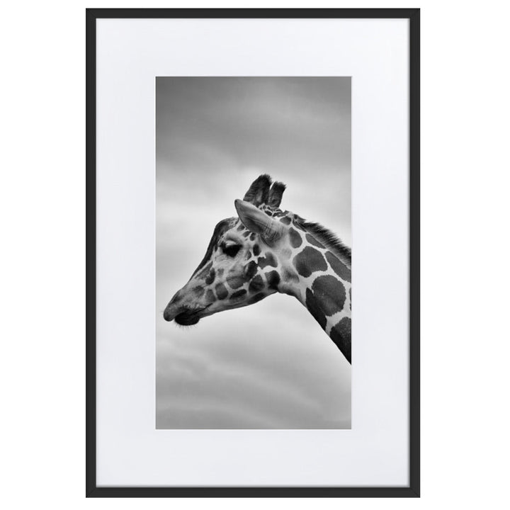 Giraffe - Poster im Rahmen mit Passepartout Schwarz / 61×91 cm artlia