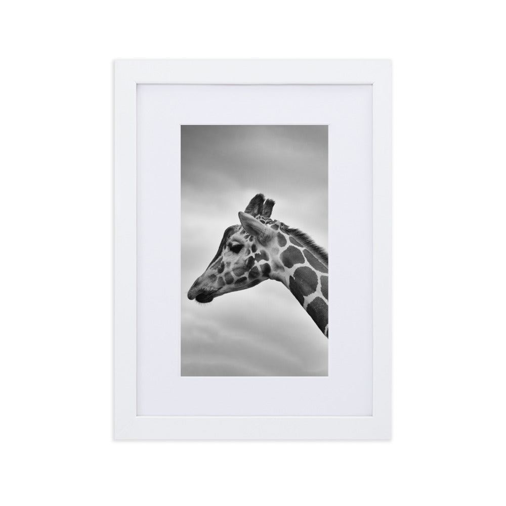 Giraffe - Poster im Rahmen mit Passepartout Weiß / 21×30 cm artlia