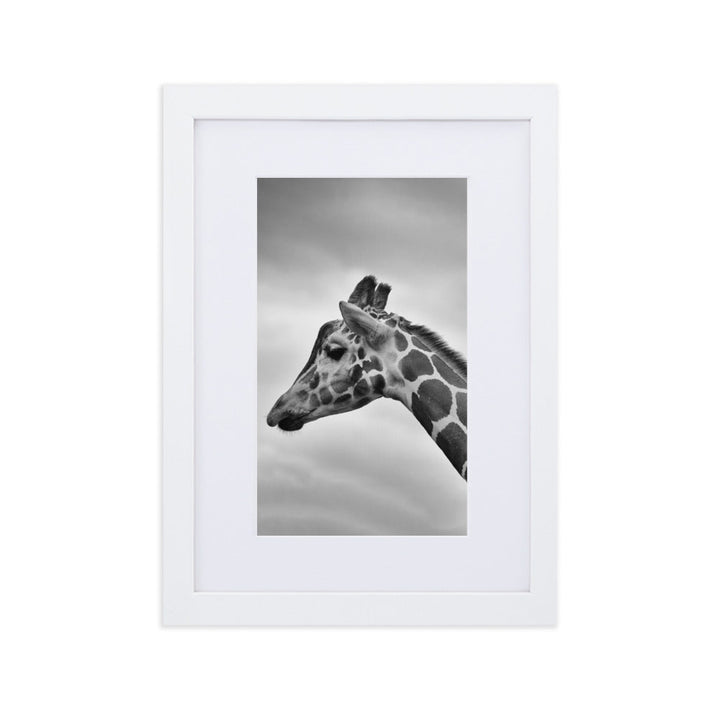 Giraffe - Poster im Rahmen mit Passepartout Weiß / 21×30 cm artlia