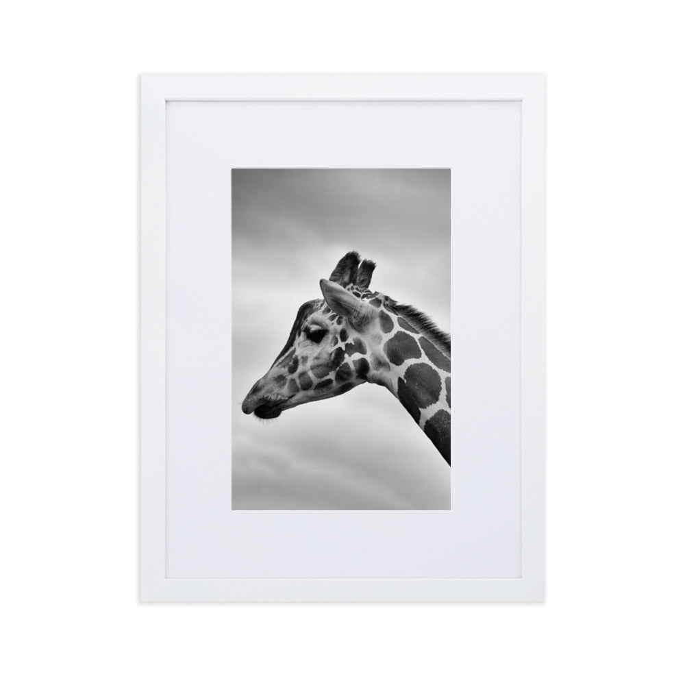 Giraffe - Poster im Rahmen mit Passepartout Weiß / 30×40 cm artlia