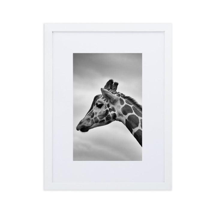 Giraffe - Poster im Rahmen mit Passepartout Weiß / 30×40 cm artlia