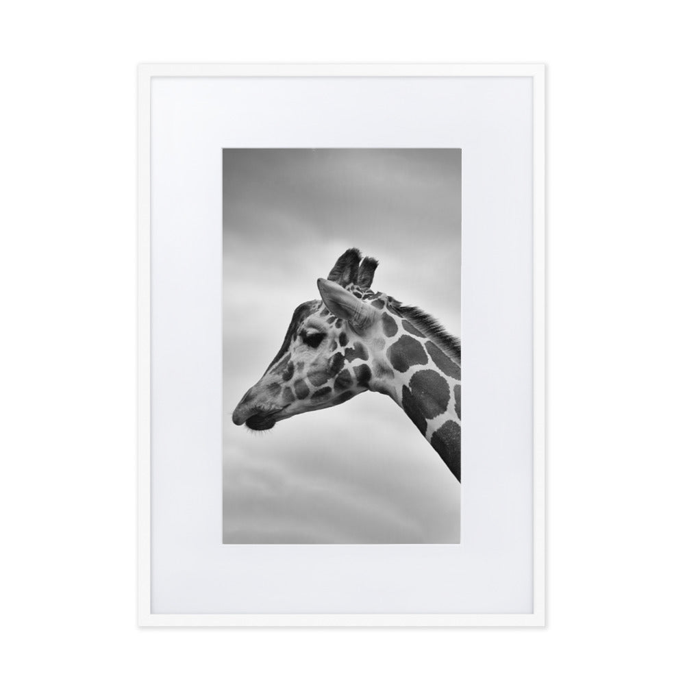 Giraffe - Poster im Rahmen mit Passepartout Weiß / 50×70 cm artlia