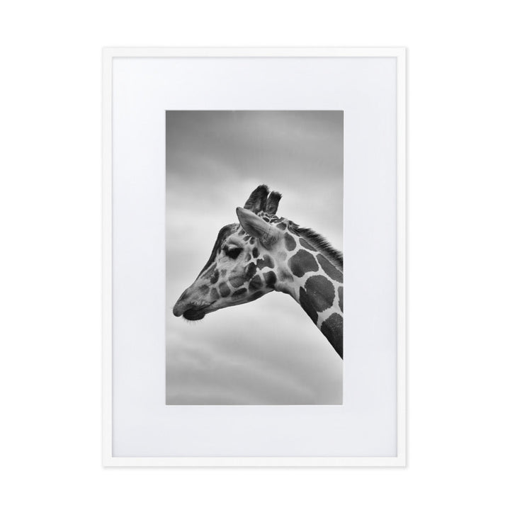 Giraffe - Poster im Rahmen mit Passepartout Weiß / 50×70 cm artlia