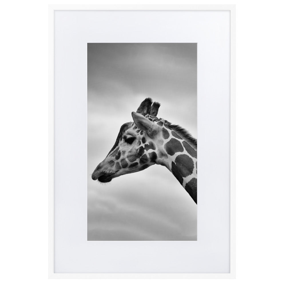 Giraffe - Poster im Rahmen mit Passepartout Weiß / 61×91 cm artlia